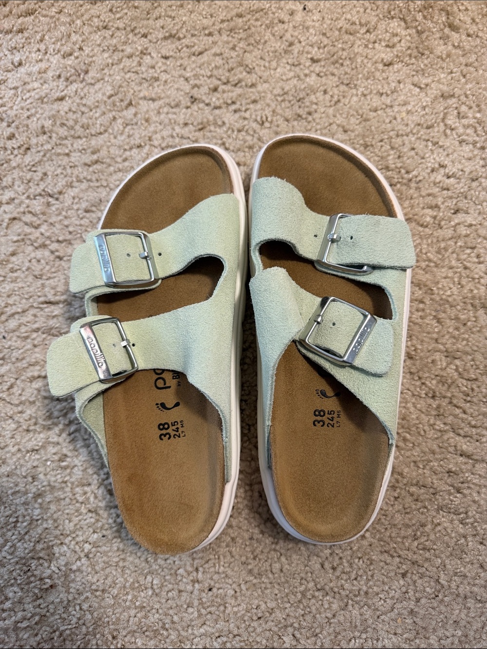 Double-Buckle Suede Slide Sandals in Light Mint